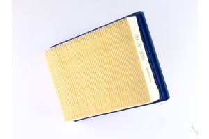 Air Filter Griso