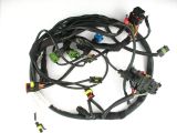 Wiring harness, injection California from 2003