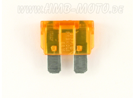 Fuse 40 Amp