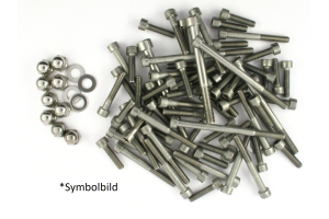 Screw for choke body