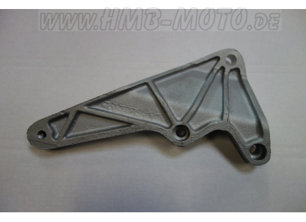 Left support plate final drive housing, 1100-Sport carb., Daytona Racing